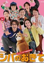 柴犬的規矩～我們這群狗痴編輯部～