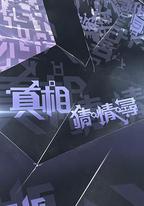 真相猜·情·尋