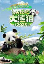 成長吧！大熊貓2025