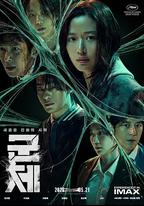 群體