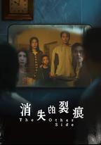 消失的裂痕