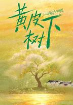黃皮樹下