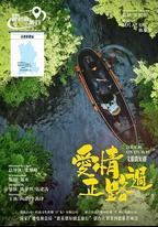 愛情正路過