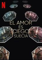 愛情盲選：瑞典篇 第3季